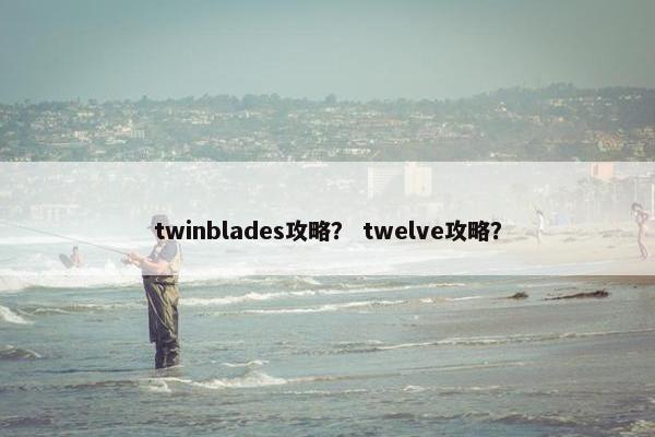 twinblades攻略？ twelve攻略？