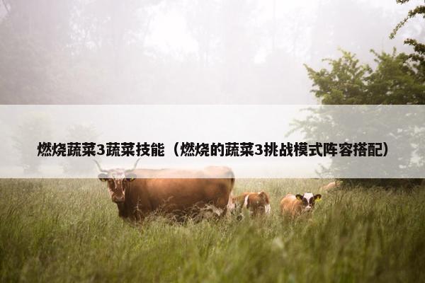 燃烧蔬菜3蔬菜技能（燃烧的蔬菜3挑战模式阵容搭配）