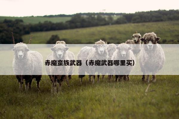 赤魔蛮族武器（赤魔武器哪里买）