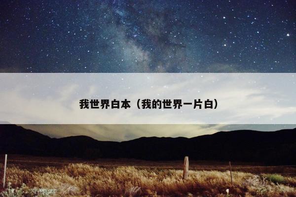 我世界白本（我的世界一片白）