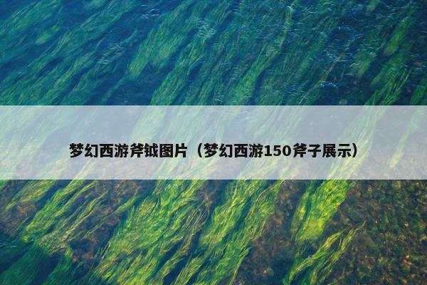 梦幻西游斧钺图片（梦幻西游150斧子展示）