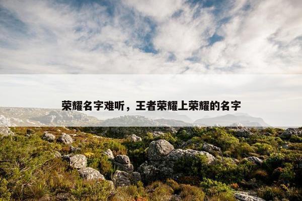 荣耀名字难听，王者荣耀上荣耀的名字