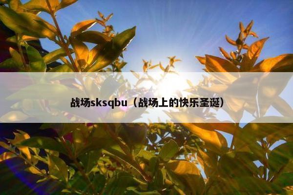 战场sksqbu（战场上的快乐圣诞）