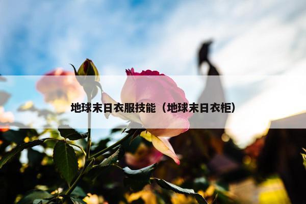 地球末日衣服技能（地球末日衣柜）