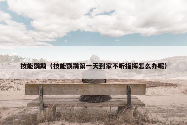 技能鹦鹉（技能鹦鹉第一天到家不听指挥怎么办呢）