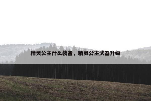 精灵公主什么装备，精灵公主武器升级