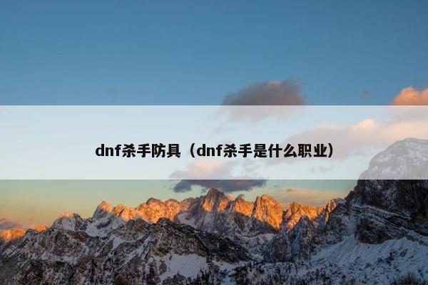 dnf杀手防具（dnf杀手是什么职业）
