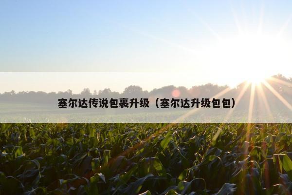 塞尔达传说包裹升级（塞尔达升级包包）