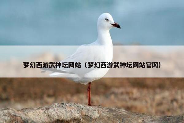 梦幻西游武神坛网站（梦幻西游武神坛网站官网）