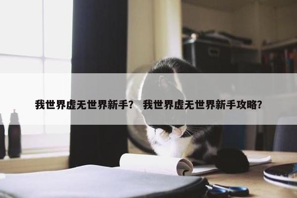 我世界虚无世界新手？ 我世界虚无世界新手攻略？