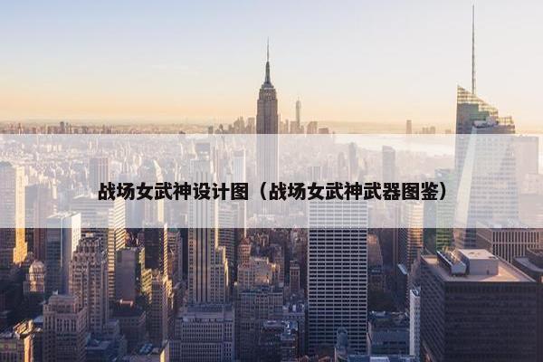 战场女武神设计图（战场女武神武器图鉴）