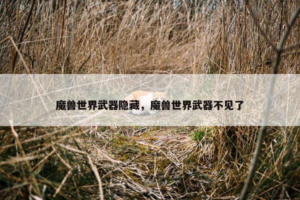 魔兽世界武器隐藏，魔兽世界武器不见了