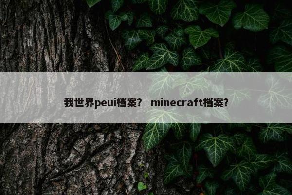 我世界peui档案？ minecraft档案？