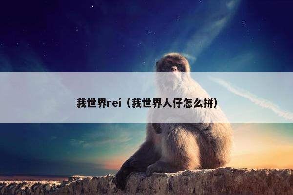 我世界rei（我世界人仔怎么拼）