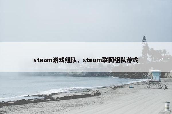 steam游戏组队，steam联网组队游戏