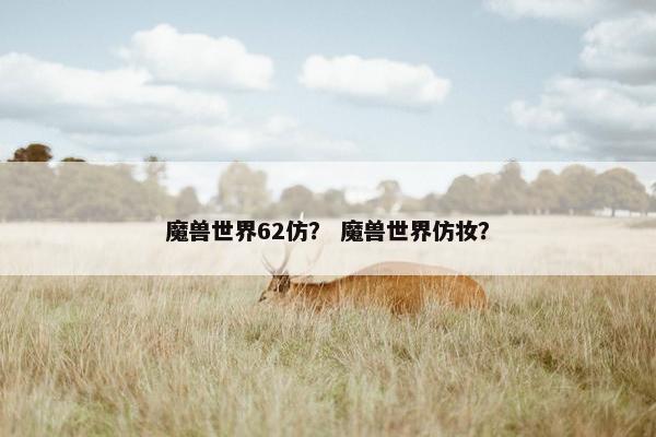 魔兽世界62仿？ 魔兽世界仿妆？