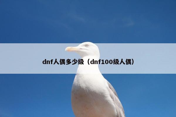 dnf人偶多少级（dnf100级人偶）