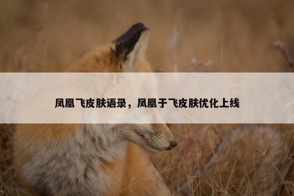 凤凰飞皮肤语录，凤凰于飞皮肤优化上线