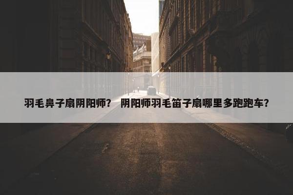 羽毛鼻子扇阴阳师？ 阴阳师羽毛笛子扇哪里多跑跑车？