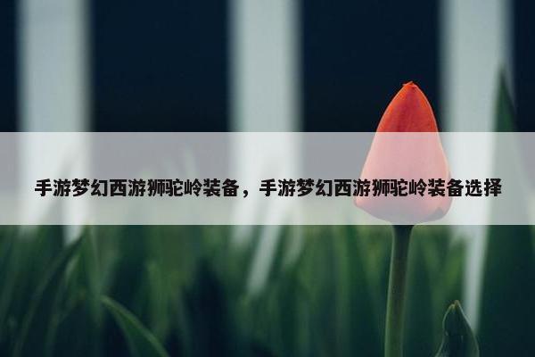 手游梦幻西游狮驼岭装备，手游梦幻西游狮驼岭装备选择