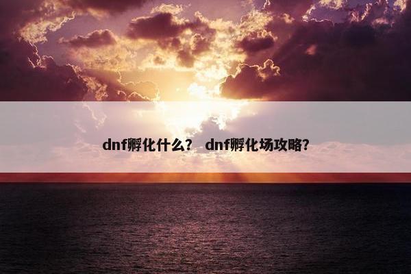 dnf孵化什么？ dnf孵化场攻略？