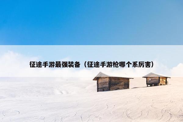 征途手游最强装备（征途手游枪哪个系厉害）