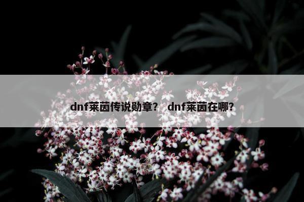 dnf莱茵传说勋章？ dnf莱茵在哪？