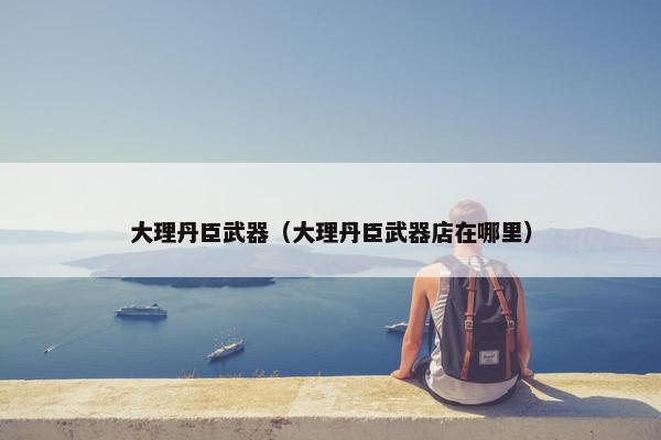 大理丹臣武器（大理丹臣武器店在哪里）