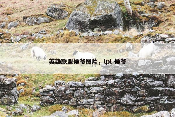 英雄联盟侯爷图片，lpl 侯爷