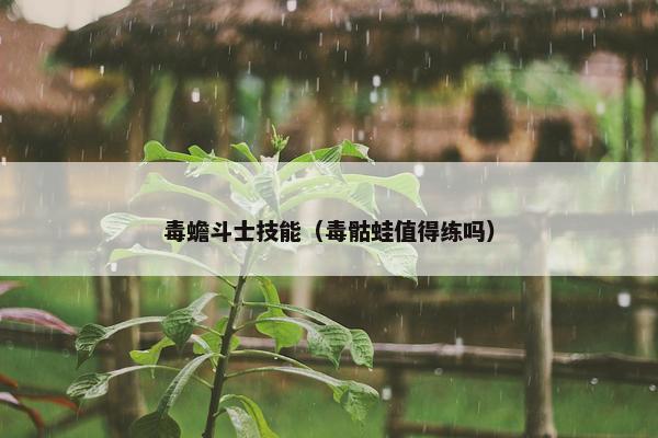 毒蟾斗士技能（毒骷蛙值得练吗）
