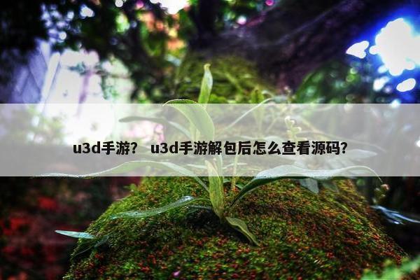u3d手游？ u3d手游解包后怎么查看源码？
