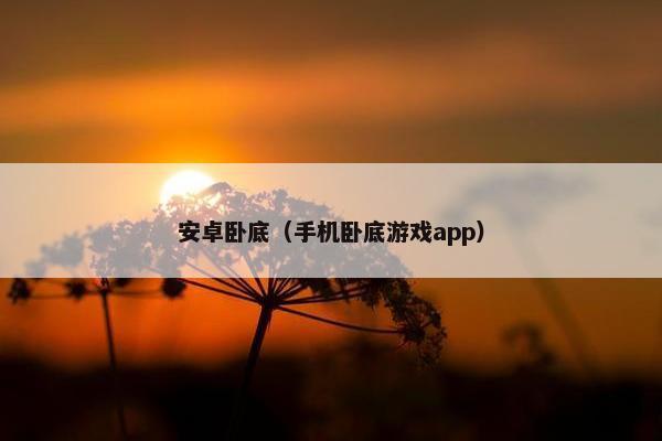 安卓卧底（手机卧底游戏app）