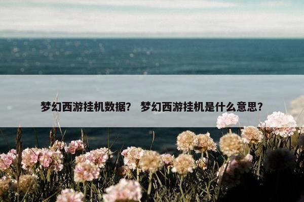 梦幻西游挂机数据？ 梦幻西游挂机是什么意思？