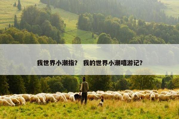 我世界小潮指？ 我的世界小潮嘻游记？