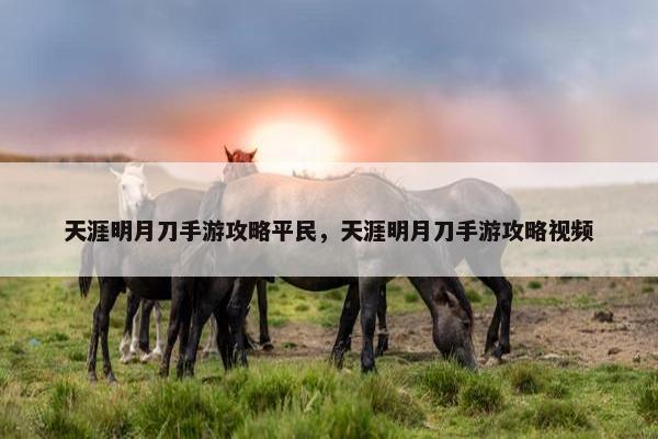 天涯明月刀手游攻略平民，天涯明月刀手游攻略视频