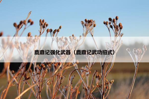 鹿鼎记强化武器（鹿鼎记武功招式）