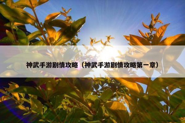 神武手游剧情攻略（神武手游剧情攻略第一章）