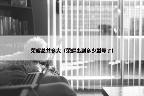 荣耀总共多大（荣耀出到多少型号了）