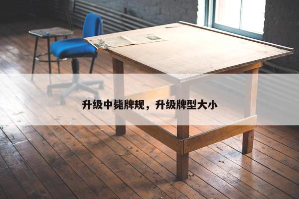 升级中毙牌规，升级牌型大小