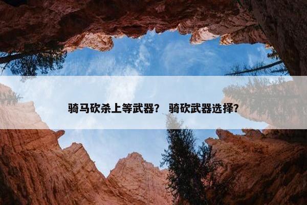 骑马砍杀上等武器？ 骑砍武器选择？