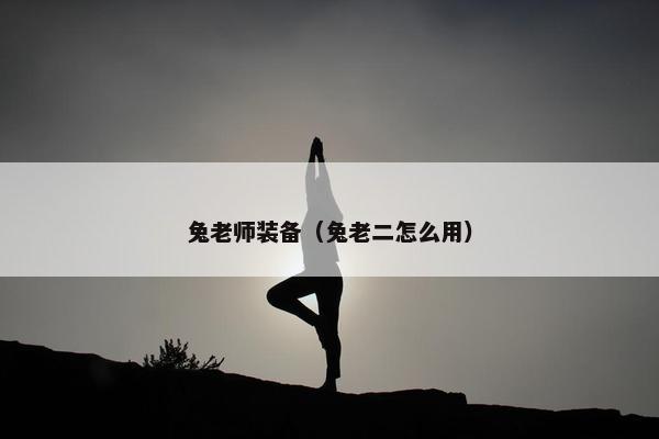 兔老师装备（兔老二怎么用）