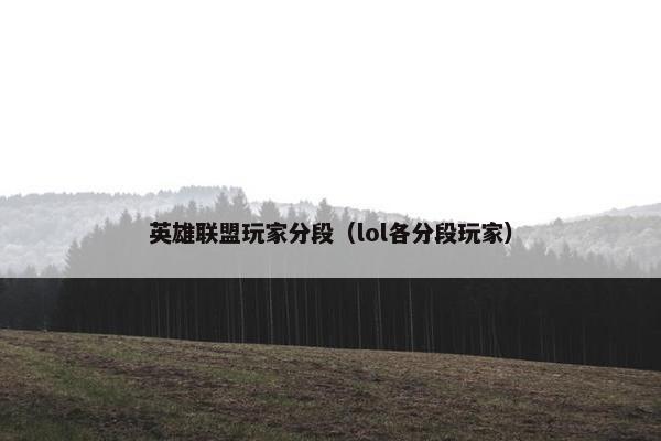 英雄联盟玩家分段（lol各分段玩家）