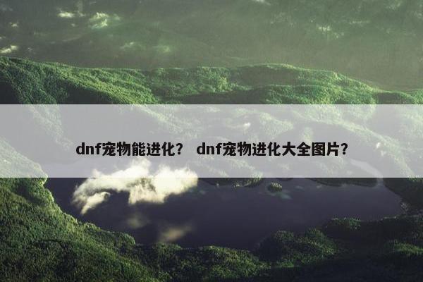 dnf宠物能进化？ dnf宠物进化大全图片？
