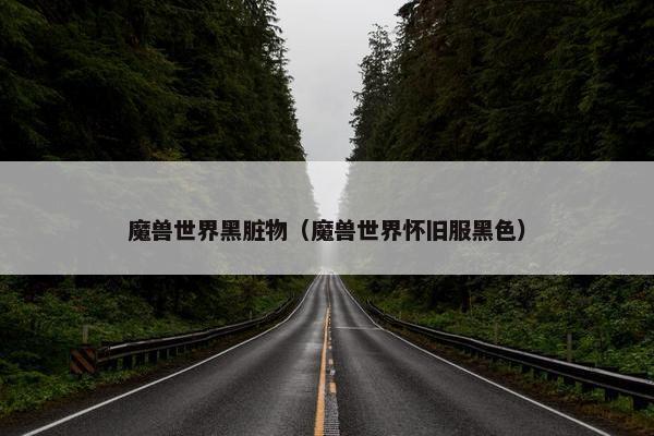 魔兽世界黑脏物（魔兽世界怀旧服黑色）