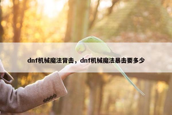 dnf机械魔法背击，dnf机械魔法暴击要多少