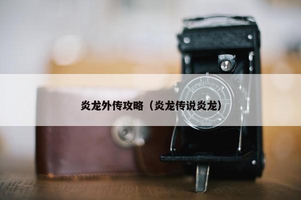 炎龙外传攻略（炎龙传说炎龙）