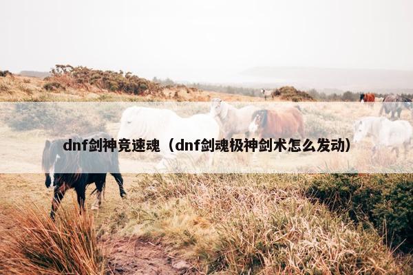 dnf剑神竞速魂（dnf剑魂极神剑术怎么发动）
