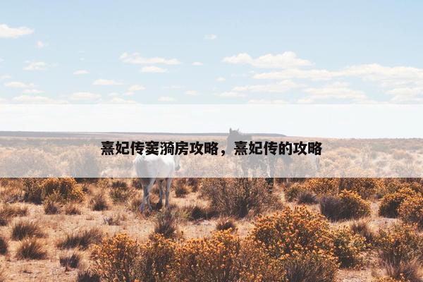 熹妃传窦漪房攻略，熹妃传的攻略