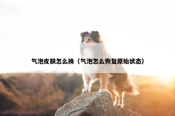 气泡皮肤怎么换（气泡怎么恢复原始状态）