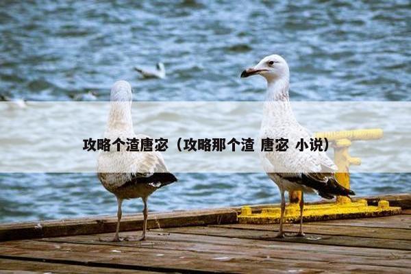 攻略个渣唐宓（攻略那个渣 唐宓 小说）